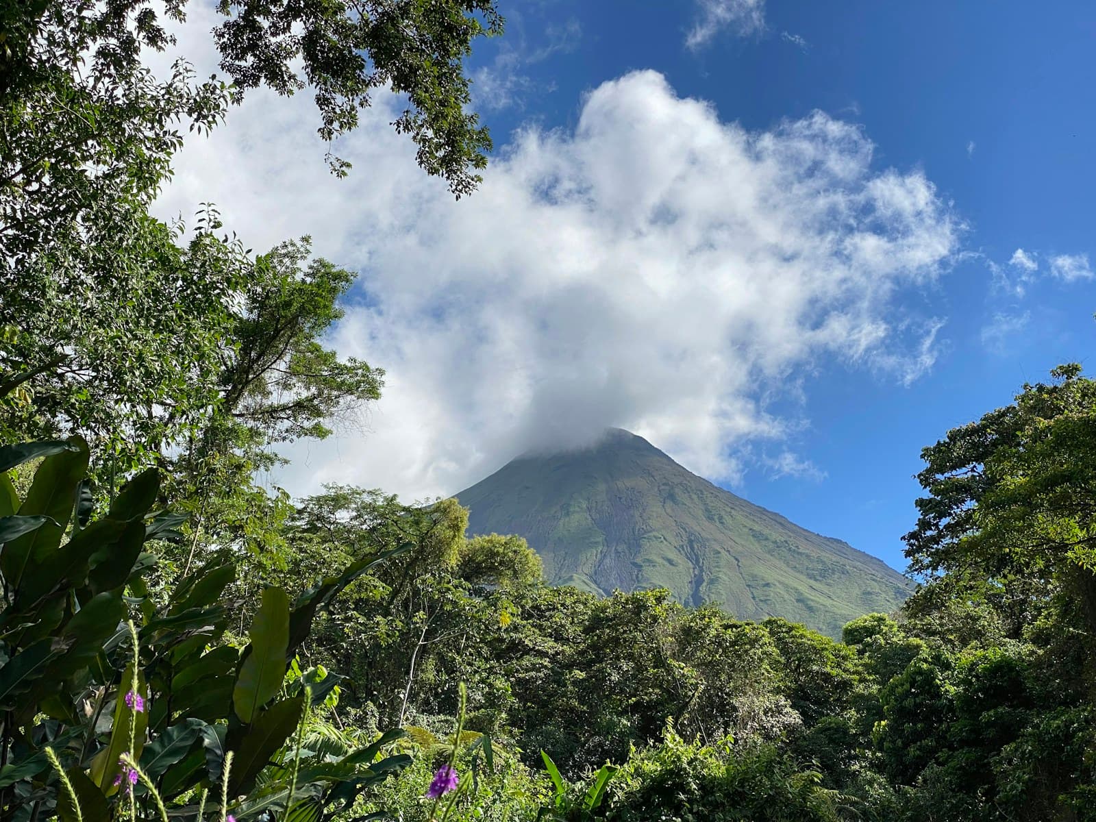 Le volcan Arenal et la forêt tropicale
