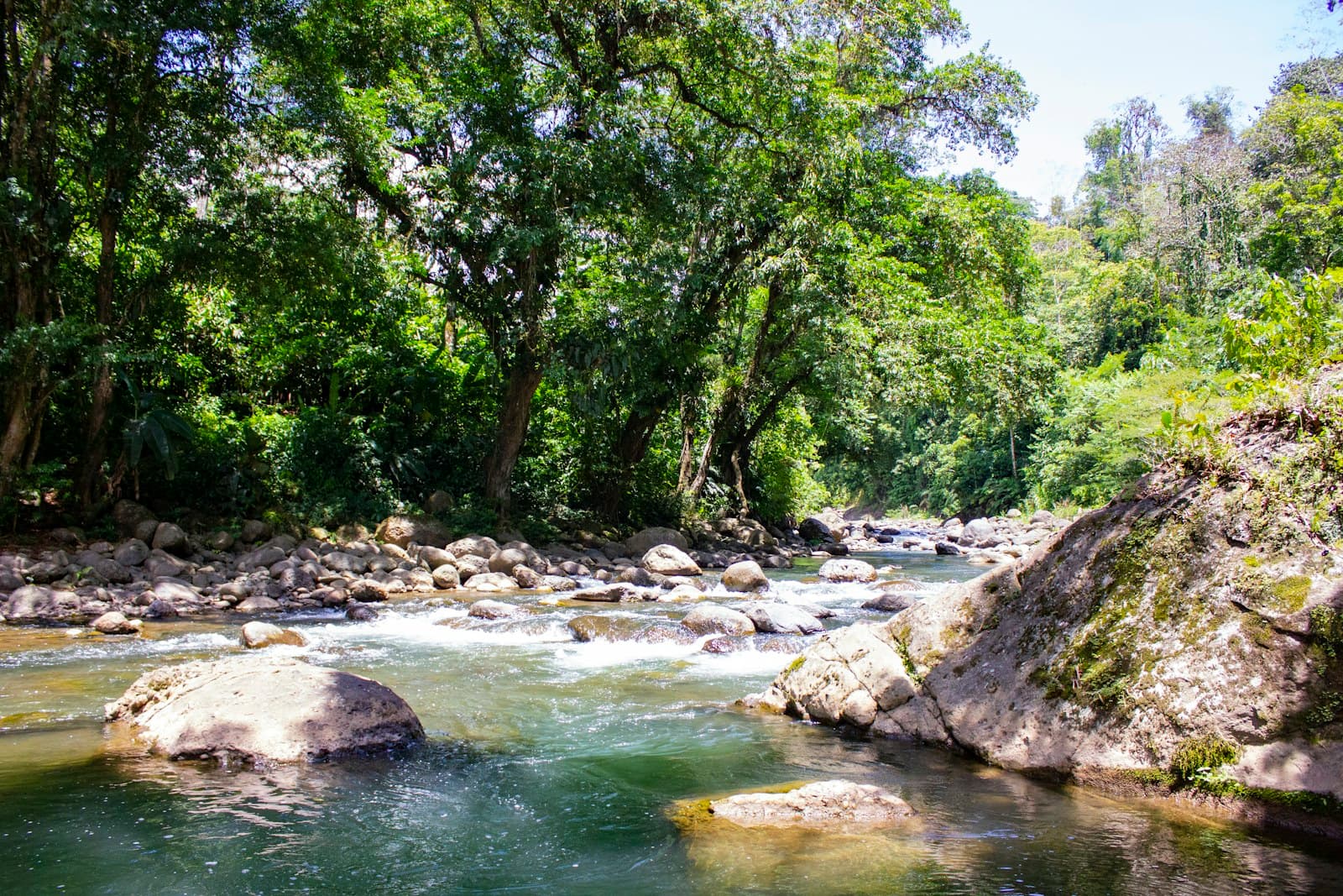 Plage des Caraïbes avec palmiers, Costa Rica
