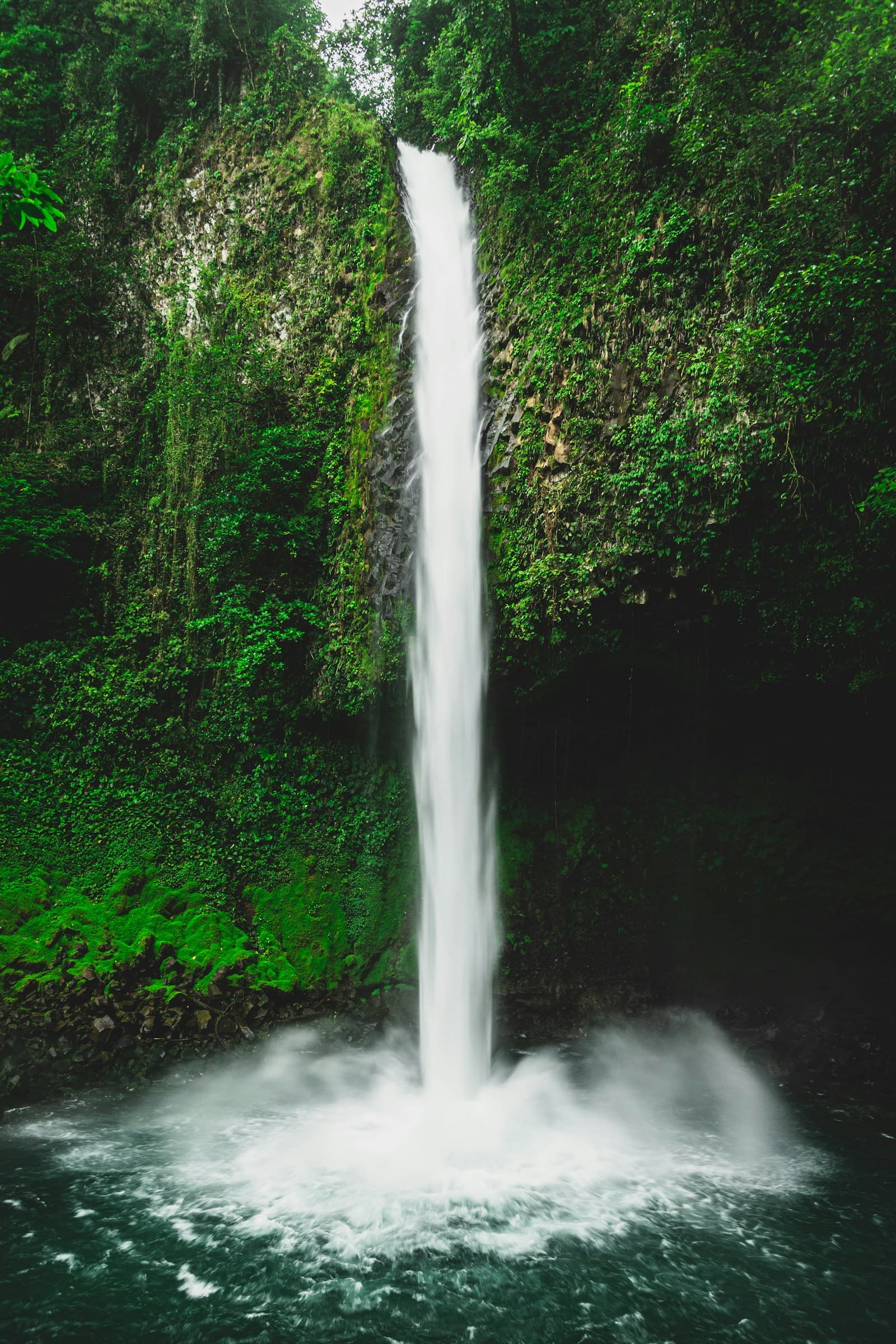 Cascade de La Fortuna dans la forêt costaricaine