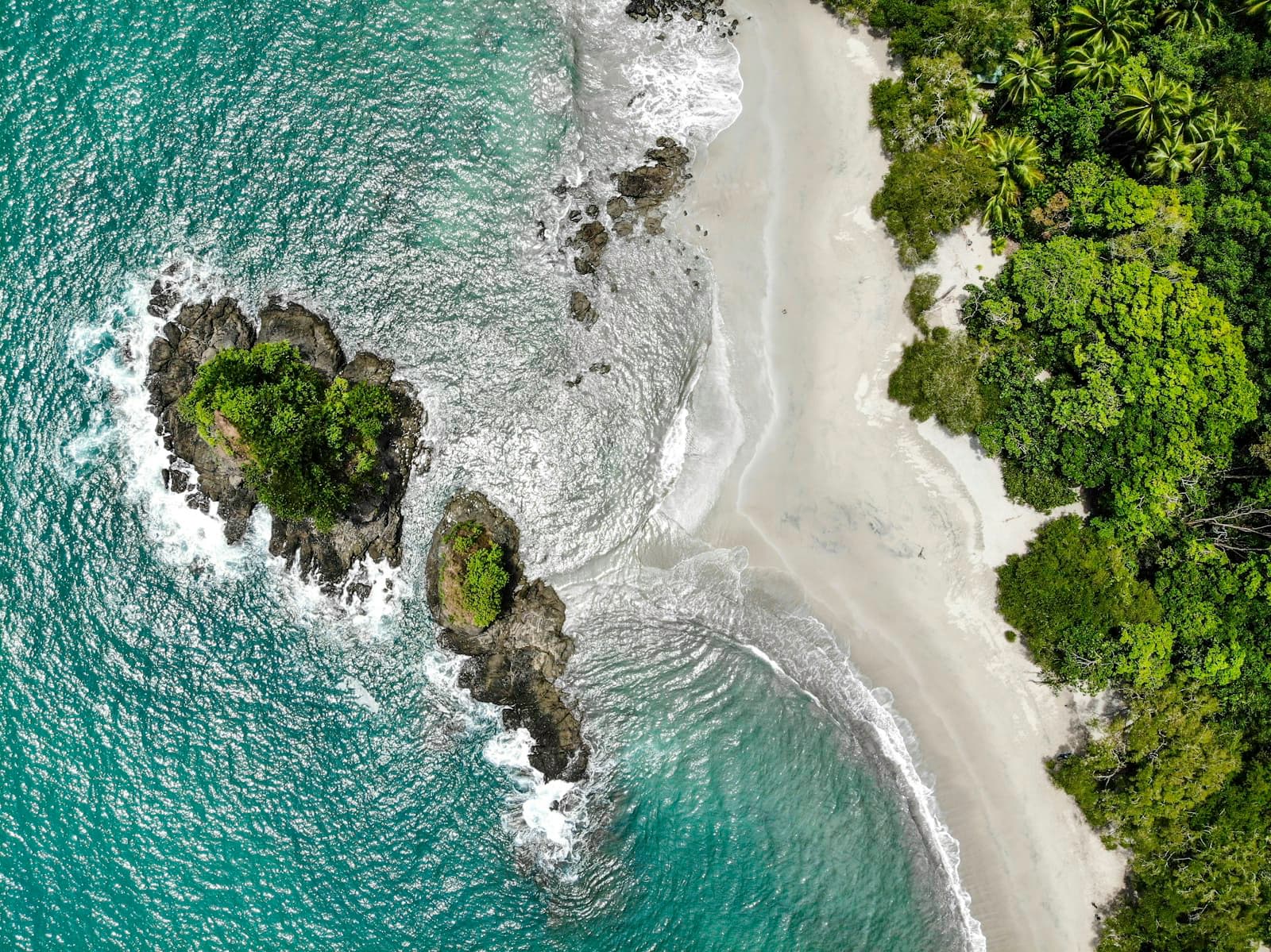 Plage de sable blanc et palmiers à Manuel Antonio