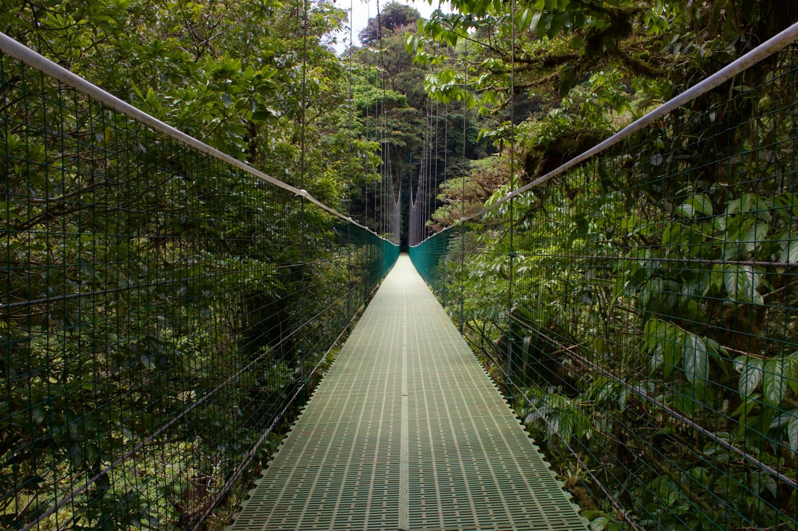 Pont suspendu dans la forêt nuageuse de Monteverde