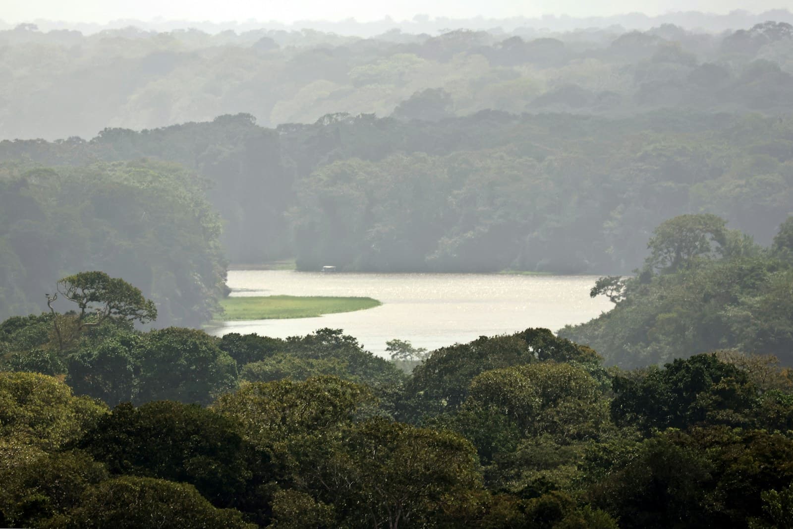 Canaux dans la jungle du parc national de Tortuguero