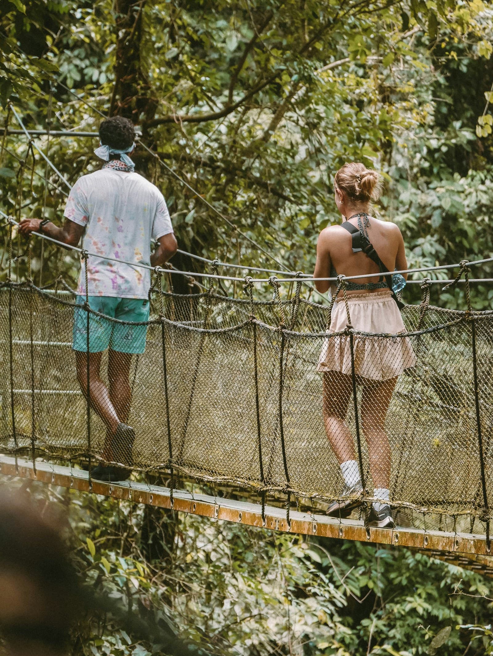 Passerelle dans la canopée d'une forêt costaricaine