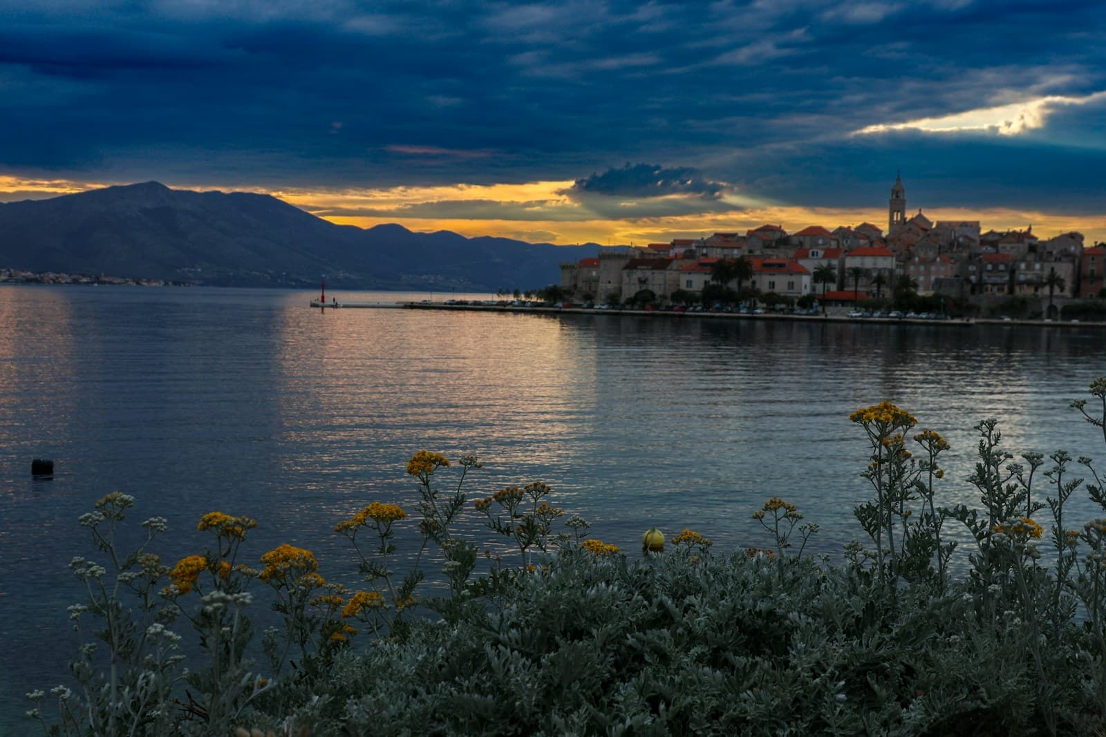 Côte boisée de l'île de Mljet, Croatie