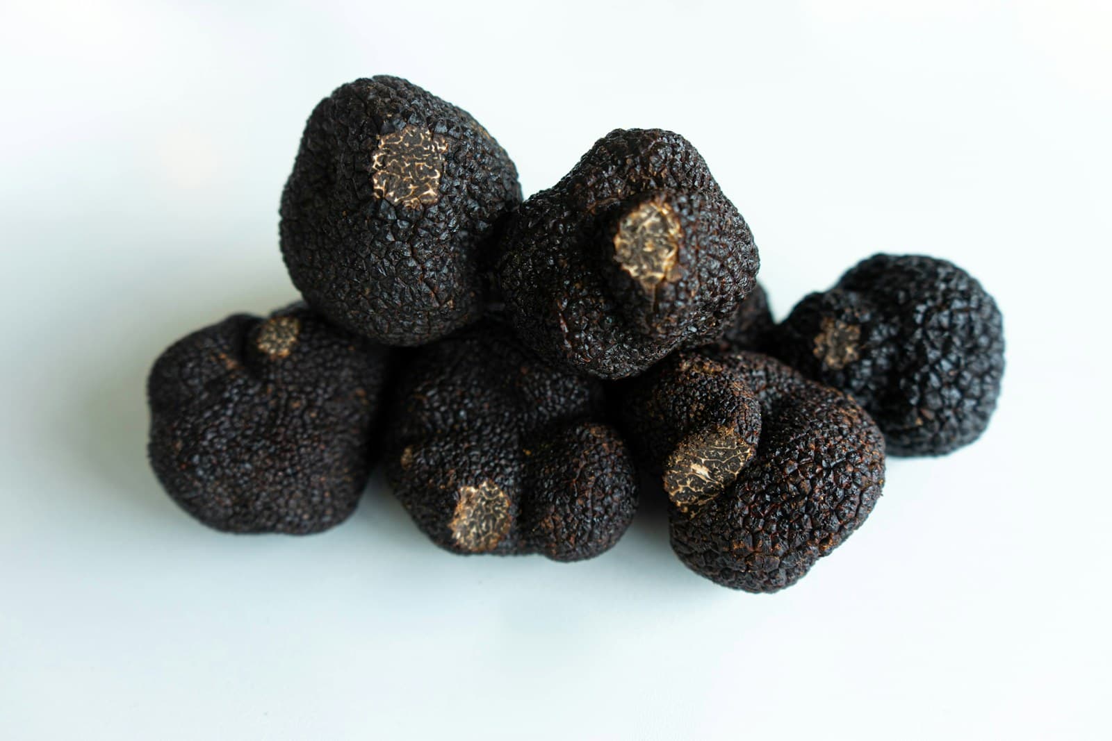 Truffes noires fraîches sur planche en bois