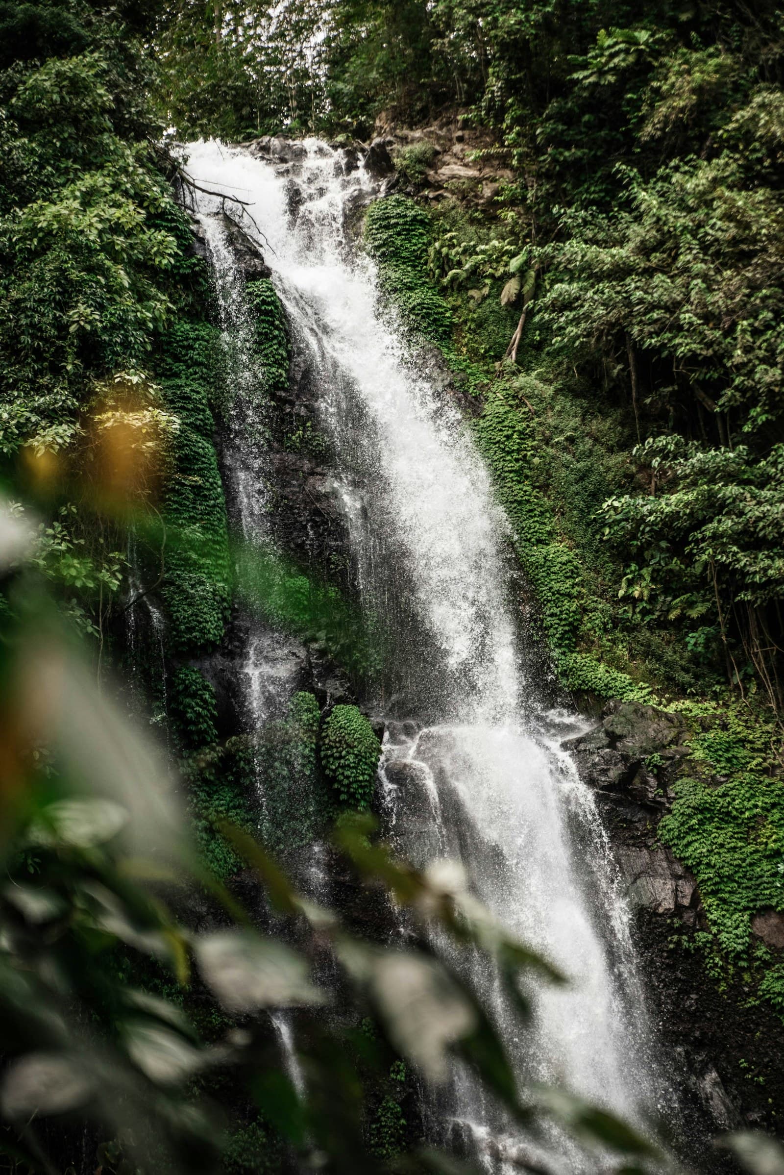 Jungle waterfall in Bali
