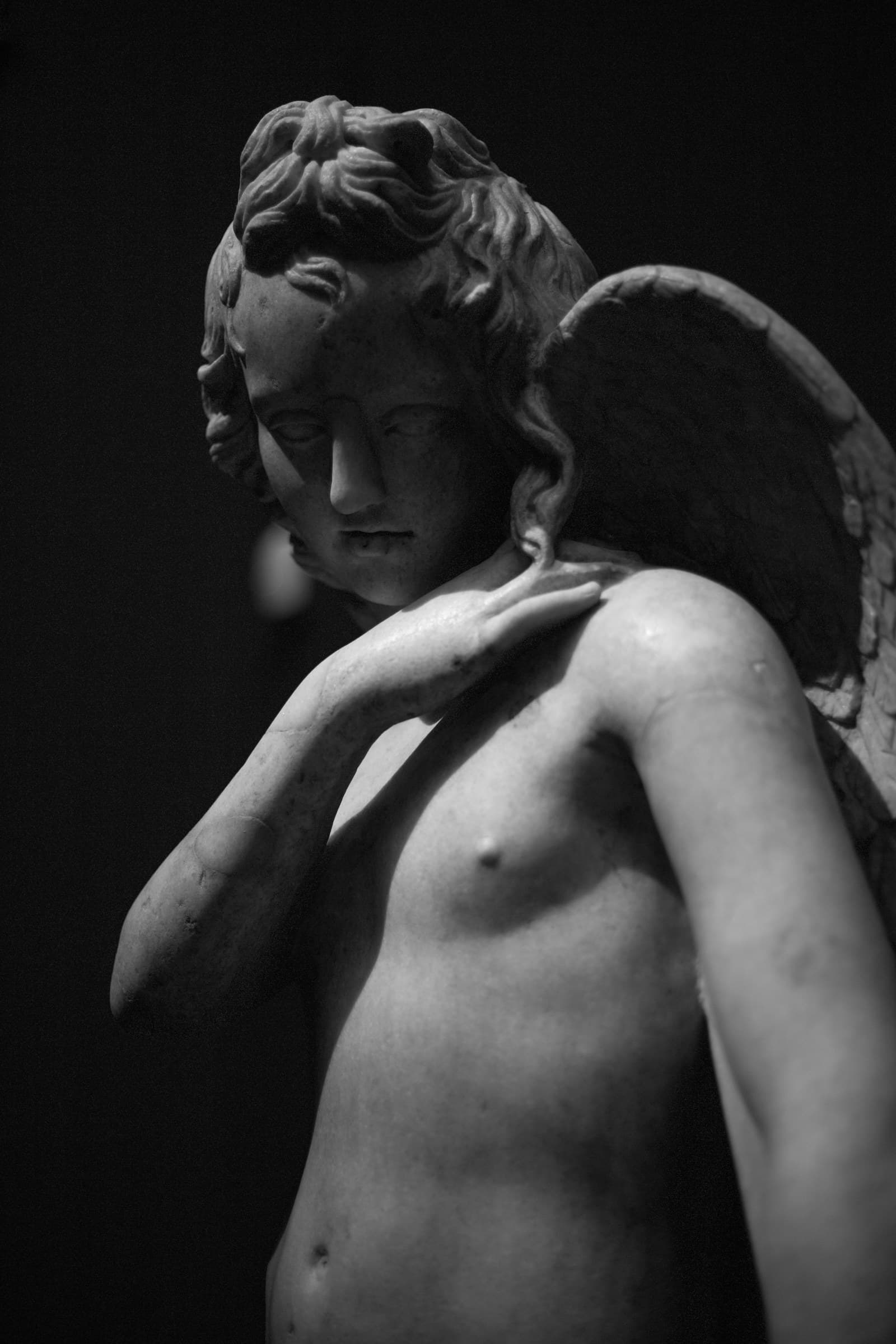 Italian Renaissance marble sculpture in a museum gallery