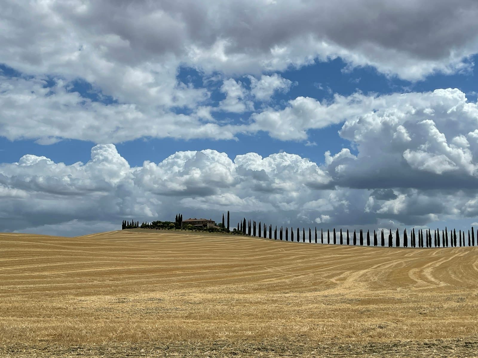 Tuscan countryside with cypress-lined road and rolling hills