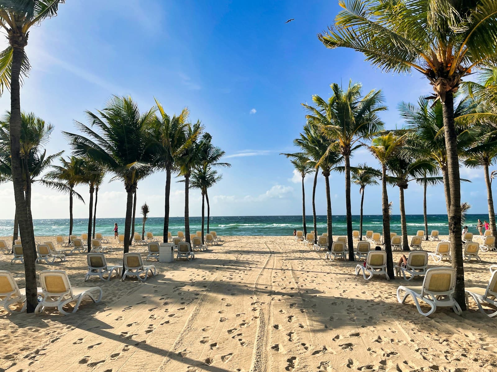 White-sand Caribbean beach in Playa del Carmen