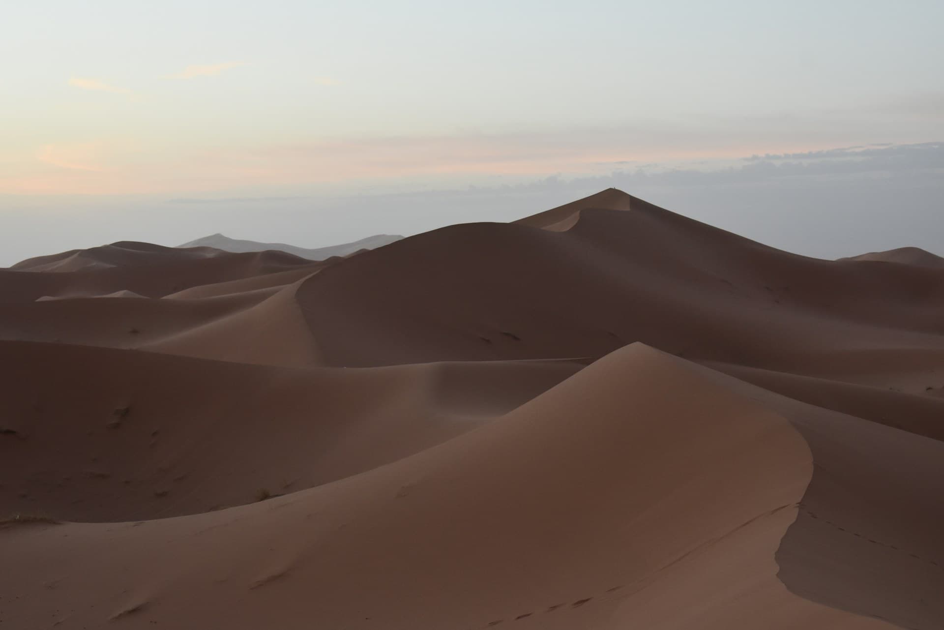 Camel caravan crossing Sahara dunes at golden hour