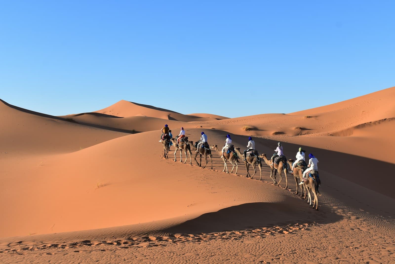 Camel caravan crossing the dunes of Erg Chebbi at sunset