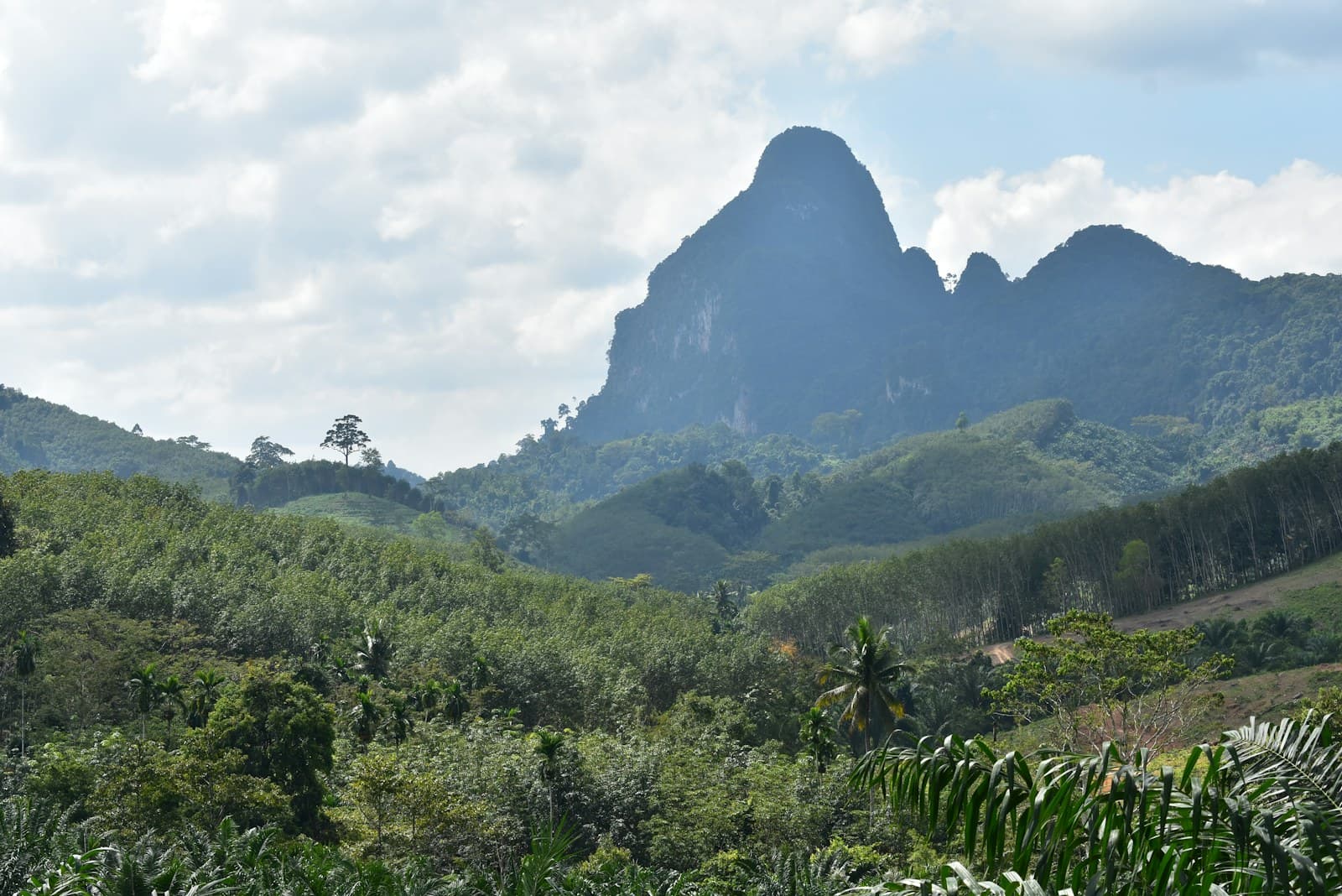 Karsts calcaires émergeant du lac Cheow Lan, parc national de Khao Sok