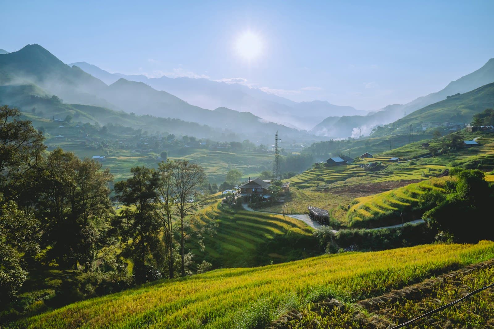 Rizières en terrasses à Sapa, Vietnam